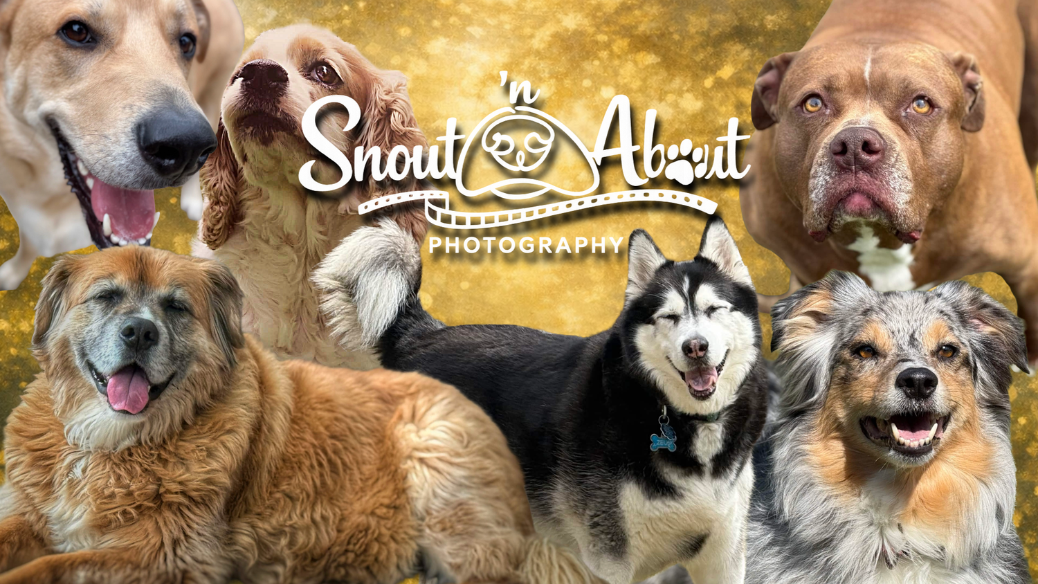 The Snout ’n About Photography logo surrounded by the dogs behind the brand